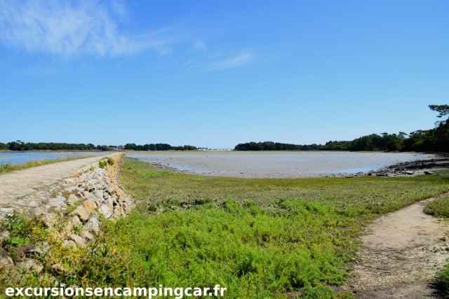 balade sur le chemin de halage de la rivière de Pt-L'abbé avec vue sur l'Ile-Tudy au loin