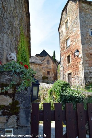 Un toutou curieux à Muret le château
