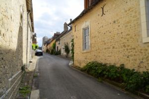 DSC 0023-Parcé sur Loire