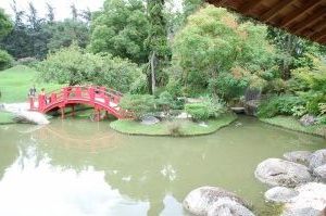 DSC_0001 Jardin Japonais    