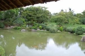 DSC_0005 Jardin Japonais    